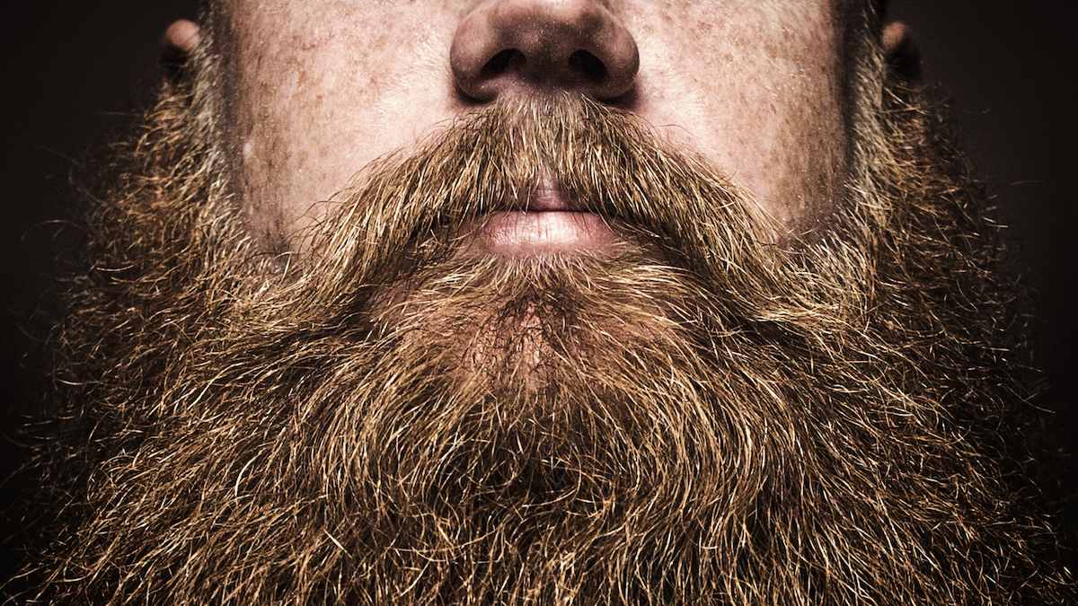 Growing A Beard For The First Time? A Beginner's Guide To Beards Man With Thick beard