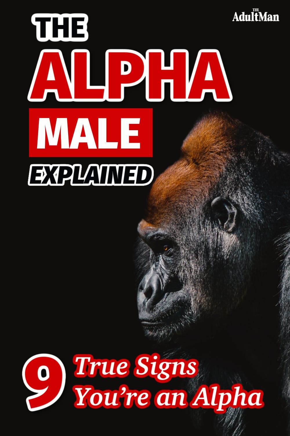 The Alpha Male Explained Understanding the Top Dog