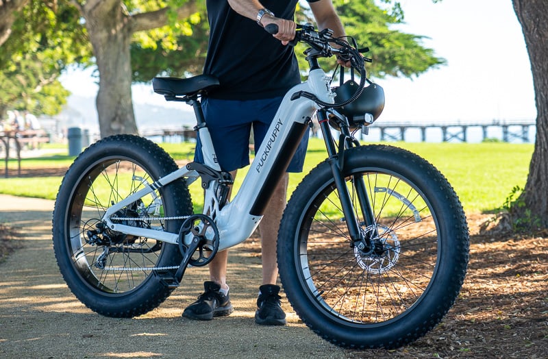 Model holding Puckipuppy Boxer ST