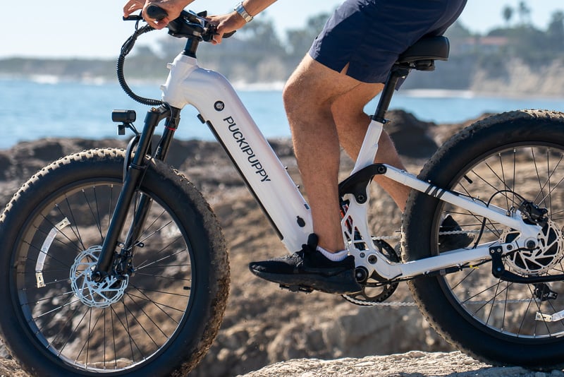 Model riding Puckipuppy Boxer ST