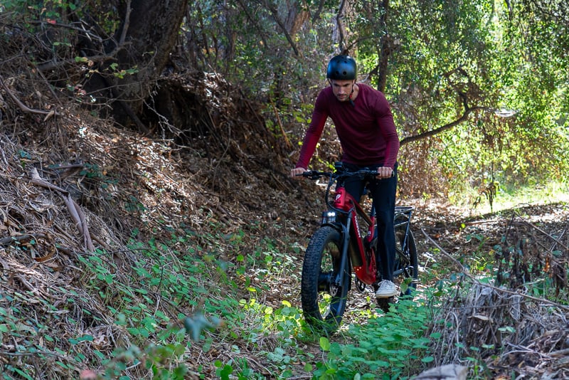 Model riding trail with Puckipuppy GoldenR Pro