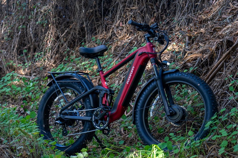 Puckipuppy GoldenR Pro 1