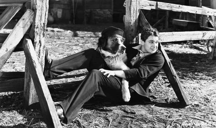 Man sitting with a dog wearing a hat and on his lap