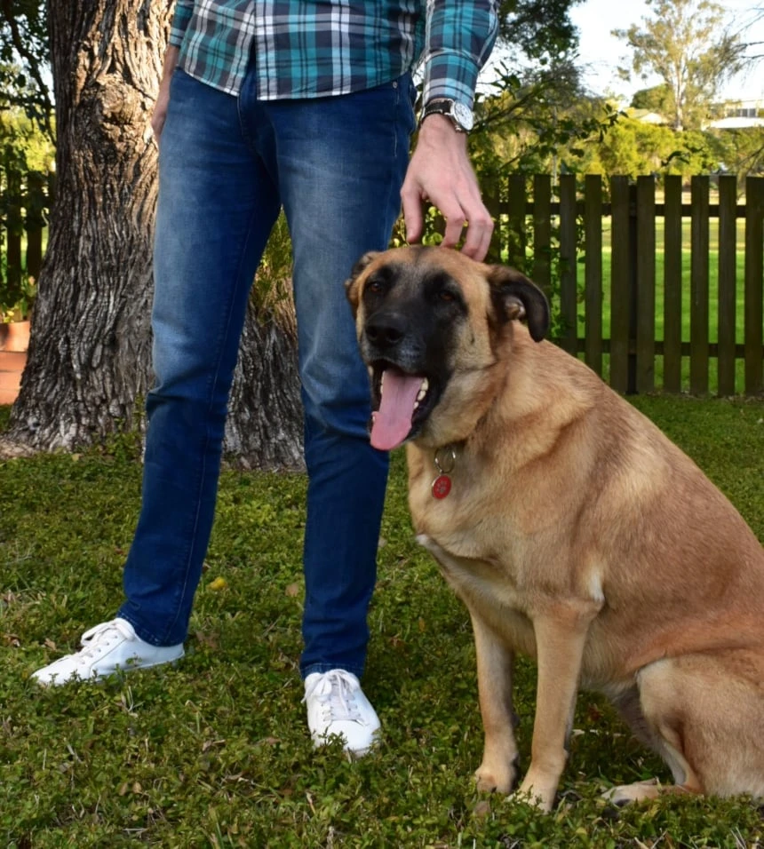 Picture of Model Wearing Mott & Bow Jeans While Standing Next to a Dog