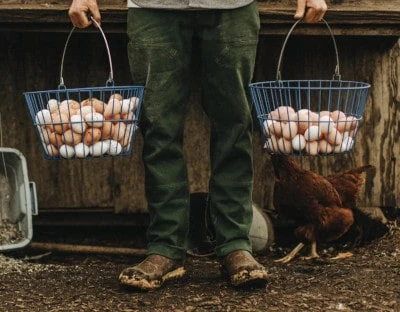 Taylor Stitch The Chore Pant