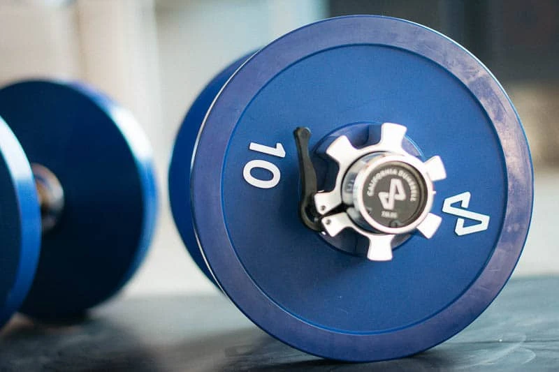 Tempo Studio california dumbells with ten pounds