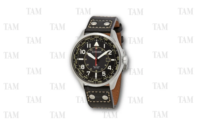 Citizen Promaster Nighthawk Perpetual World Time Watch