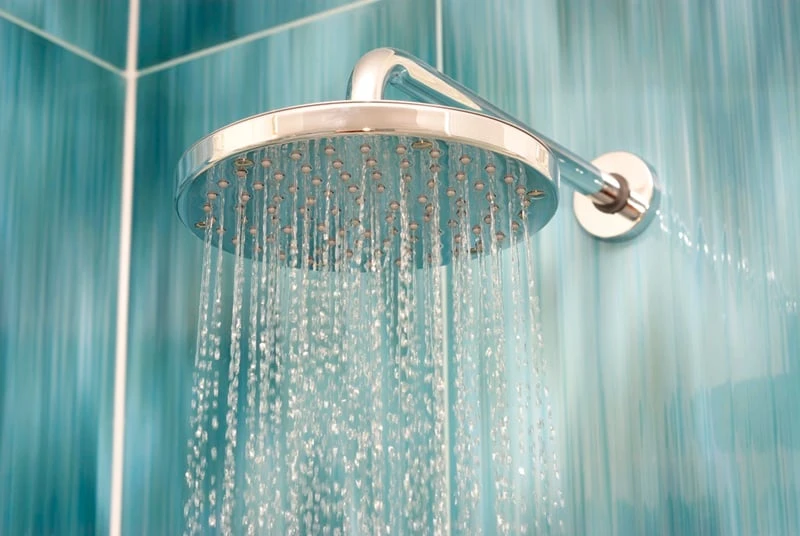 Shower head