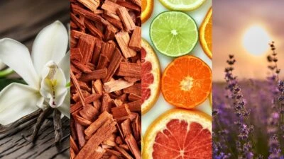 The Adult Man Top 8 Scents That Attract Women Use This Knowledge Responsibly Vanilla Sandalwood Citrus Lavender