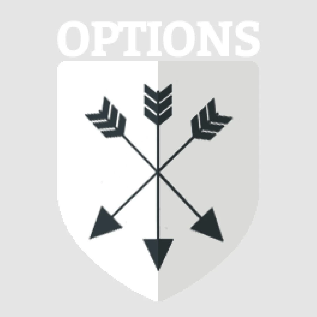 OPTIONS Texting Review: A Dating Coach's Thoughts