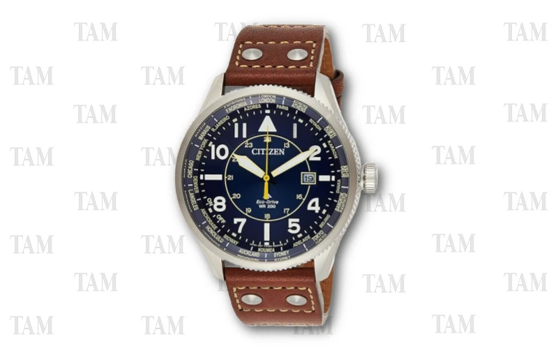 Citizen Eco Drive Promaster Nighthawk