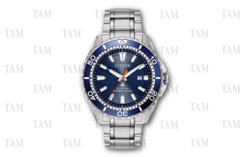 Citizen Promaster Diver Watch