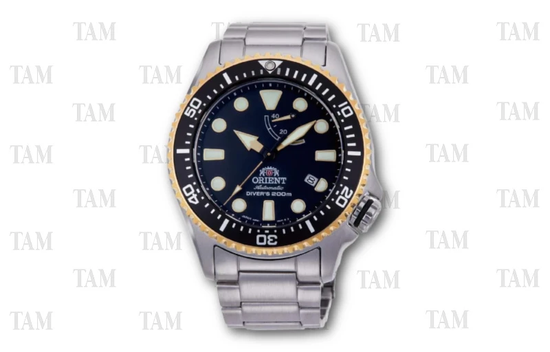 Orient Triton Dive